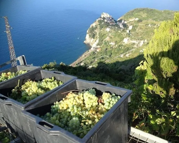 Belvedere Holiday House Hotel La Spezia 0*,